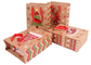 Túi giấy Giáng sinh CCNB in ​​cho Quà tặng đêm Giáng sinh Takeaway